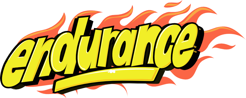 Endurance Logo